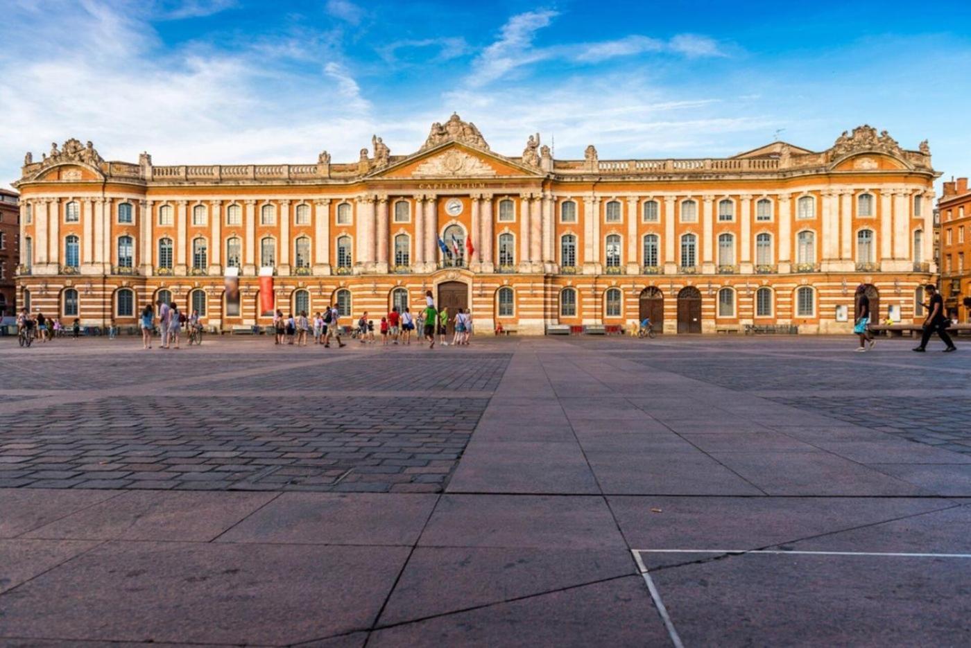 Charmant Appartement Toulouse Luaran gambar